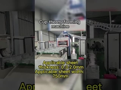 डिग्रेडेबल सामग्रियों के लिए पीएलसी नियंत्रण वैक्यूम थर्मोफॉर्मिंग मशीन अधिकतम गहराई 180 मिमी