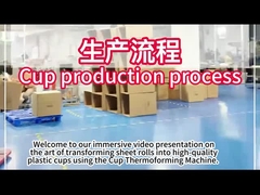 पीएलसी प्लास्टिक थर्मोफॉर्मिंग मशीन 750*500 मिमी के आकार क्षेत्र के साथ