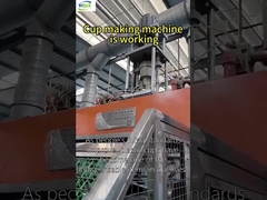 उच्च दक्षता और उच्च उत्पादन प्लास्टिक थर्मोफॉर्मिंग मशीन